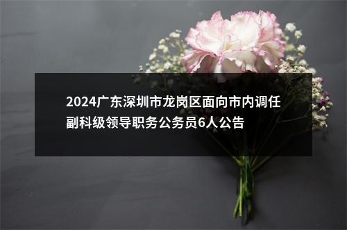 2024广东深圳市龙岗区面向市内调任副科级领导职务公务员6人公告 图片