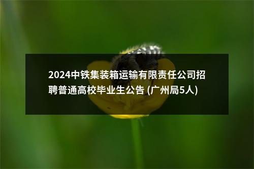 2024中铁集装箱运输有限责任公司招聘普通高校毕业生公告 (广州局5人) 图片
