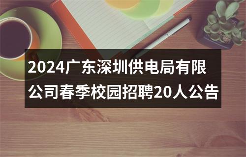 2024广东深圳供电局有限公司春季校园招聘20人公告 图片