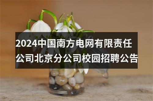 2024中国南方电网有限责任公司北京分公司校园招聘公告 图片